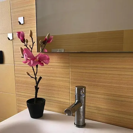 Apartament In Centro